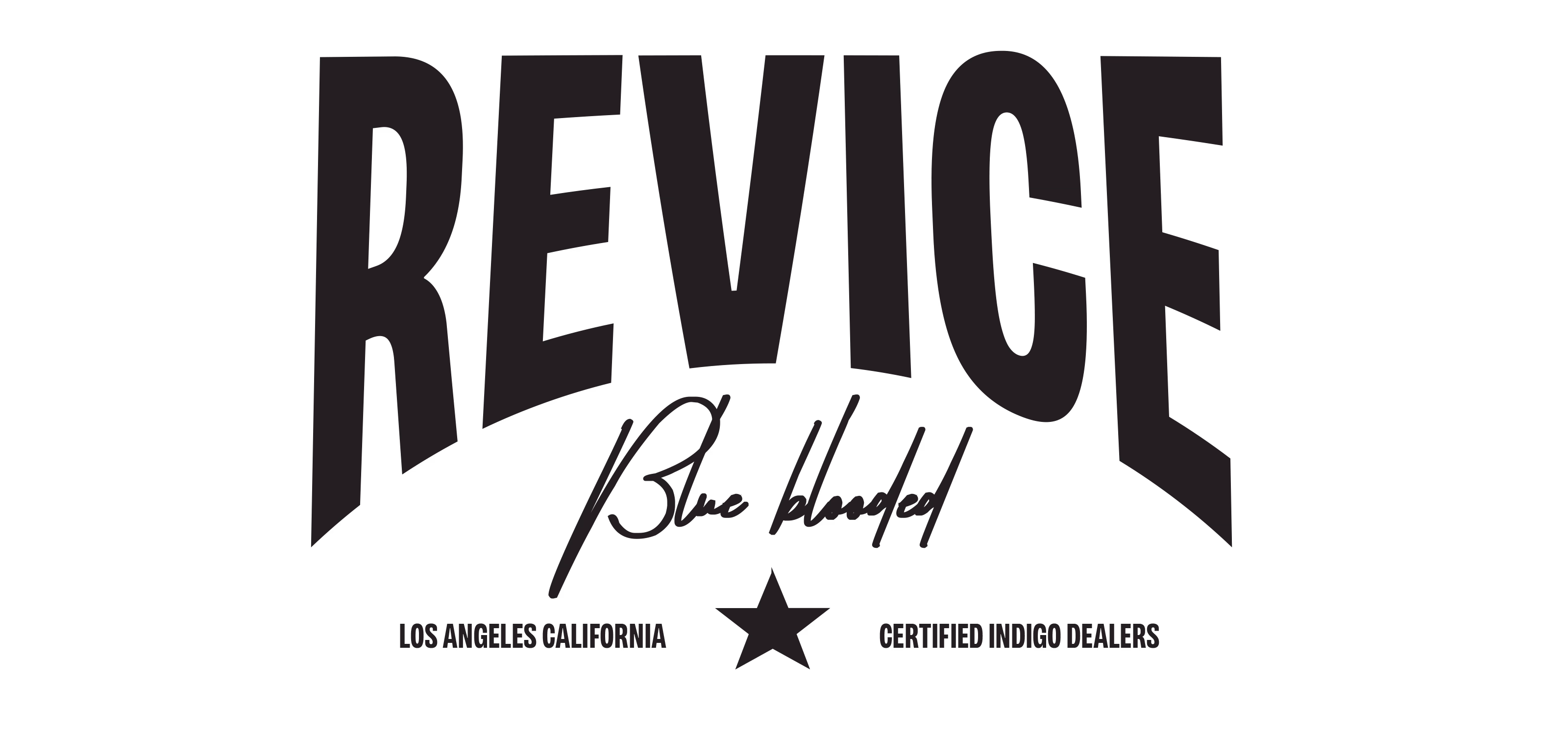 REVICE Denim